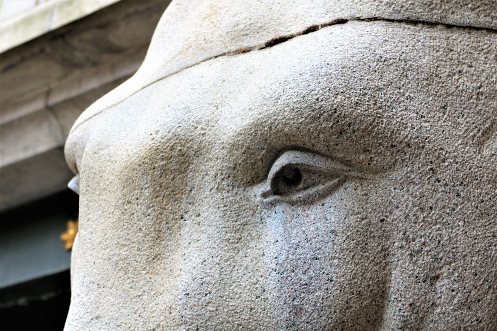 Photo of a study hall with wooden tables and chairs.